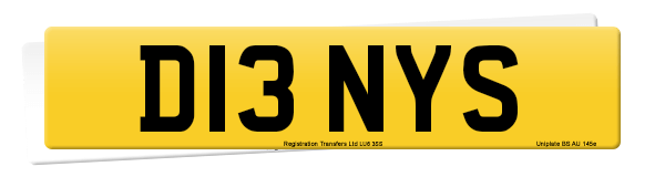 Registration number D13 NYS